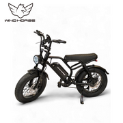Wind Horse V8 Mini Electric Bike