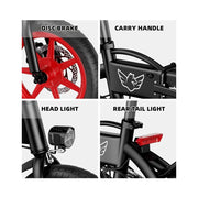 Wind Horse Electric Scooter 350W 50KM Range 35KM Speed, C19