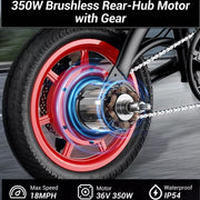Wind Horse Electric Scooter 350W 50KM Range 35KM Speed, C19