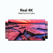 LG 55 inch NanoCell Smart TV - 4K, 55NANO81