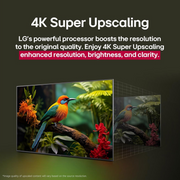 LG 55 inch Smart QNED Mini LED TV - 4K, 55QNED87R