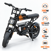 Kugoo Electric Scooter 750W 35KM Range 35KM Speed, T31