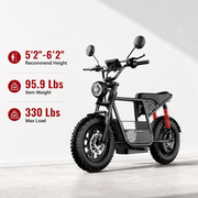Wind Horse Electric Bike 750W 50KM Range 32KM Speed, D1