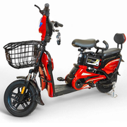 Wind Horse M1 Electric Bike, M1