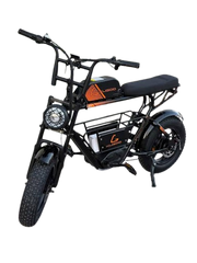 Kugoo Electric Scooter 750W 35KM Range 35KM Speed, T31